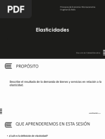 5 - ELASTICIDADES 19