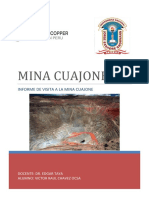 336092507-MINA-CUAJONE-pdf.pdf