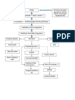 Patoflowdiagram Efusi Pleura