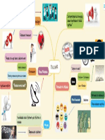 Mapa2def PDF