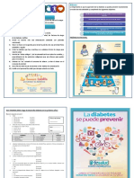 dípticos diabetes.pdf
