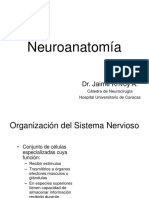 Neuroanatomía Imp.