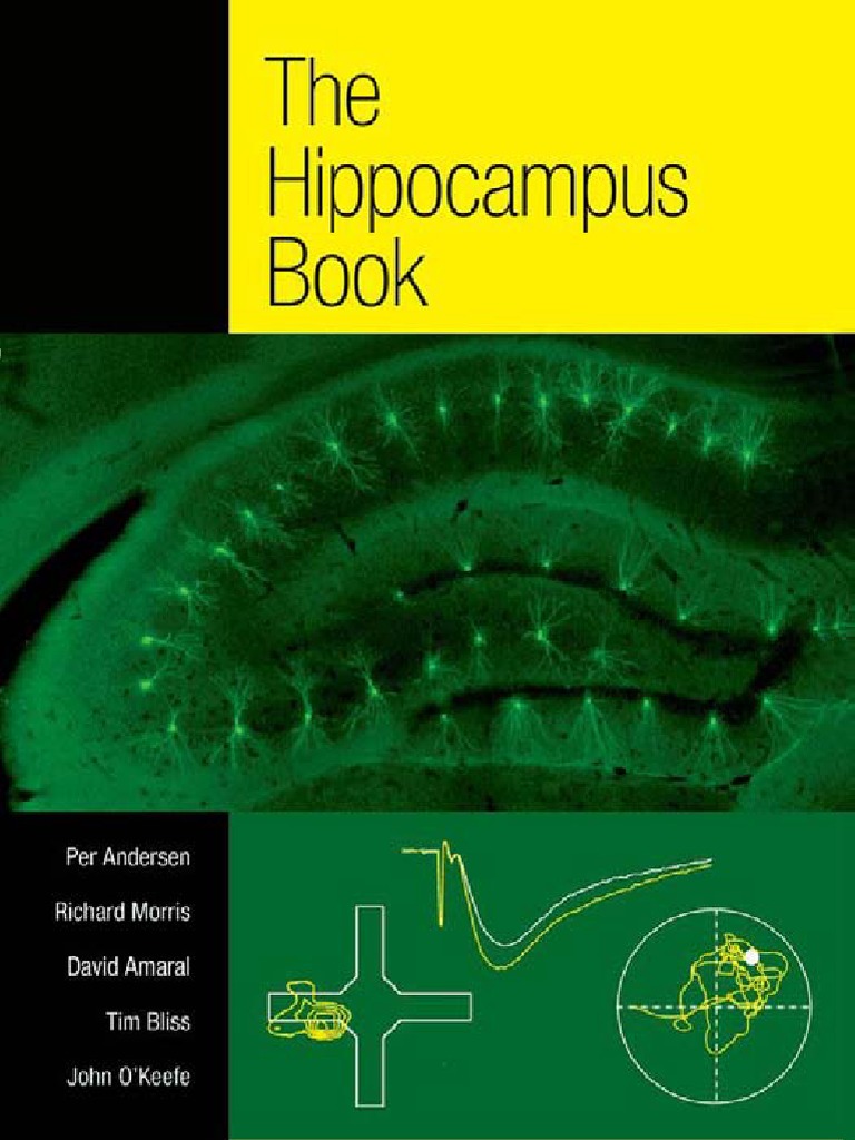 The Hippocampus Book | PDF | Long Term Potentiation | Hippocampus
