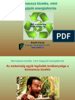 Cikk5482 Biomassza-Tuzeles
