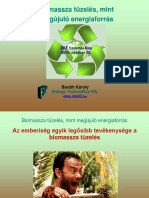Cikk5482 Biomassza-Tuzeles
