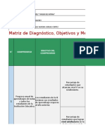 Matriz diagnóstico objetivos metas designacion direc-2017.xlsx