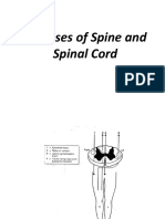 Diseases of Spine and