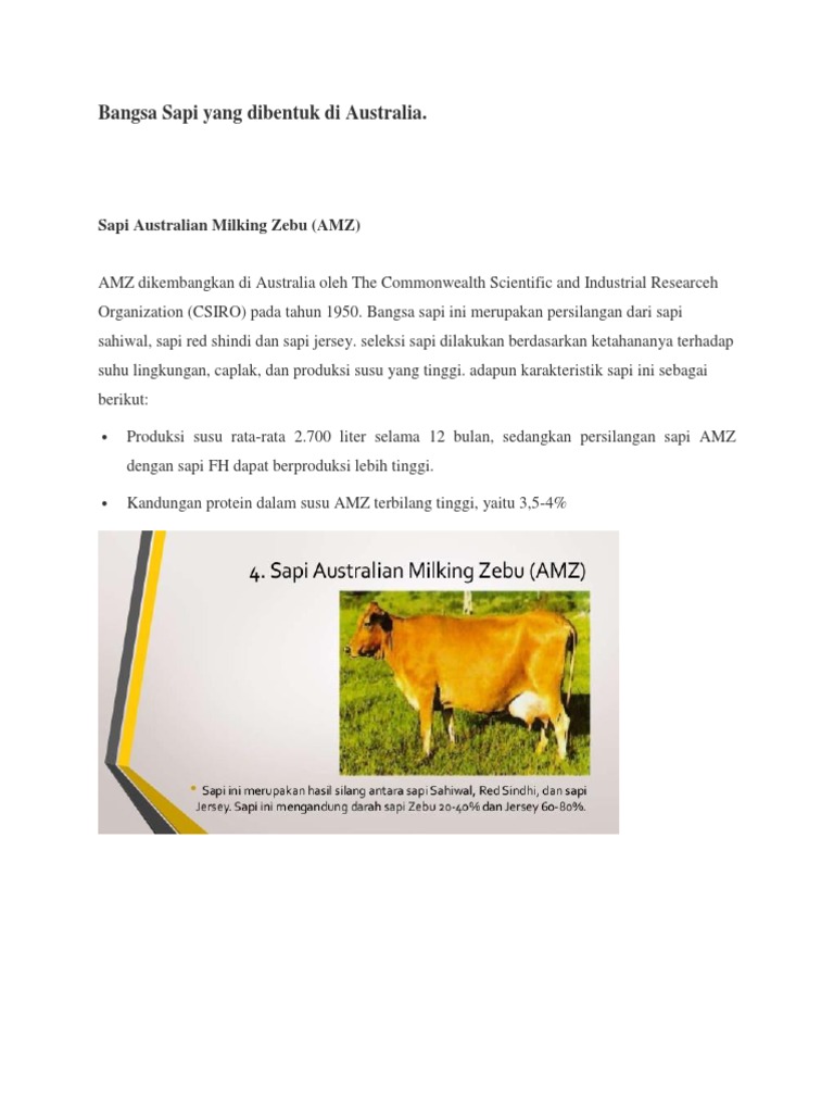 Bangsa Sapi Yang Dibentuk Di Australia | PDF