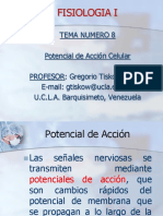 Potencial de Accion