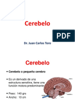 07cerebelo-141103211008-conversion-gate01.pdf