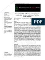 Screening and Identification of Rice Genotypes With Drought Tolerance Under Stress and Non-Stress Condition