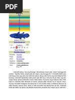 Download coelacanth by zulqarnainmardin SN36546786 doc pdf