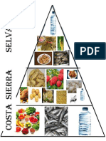 Piramide de Nutricion