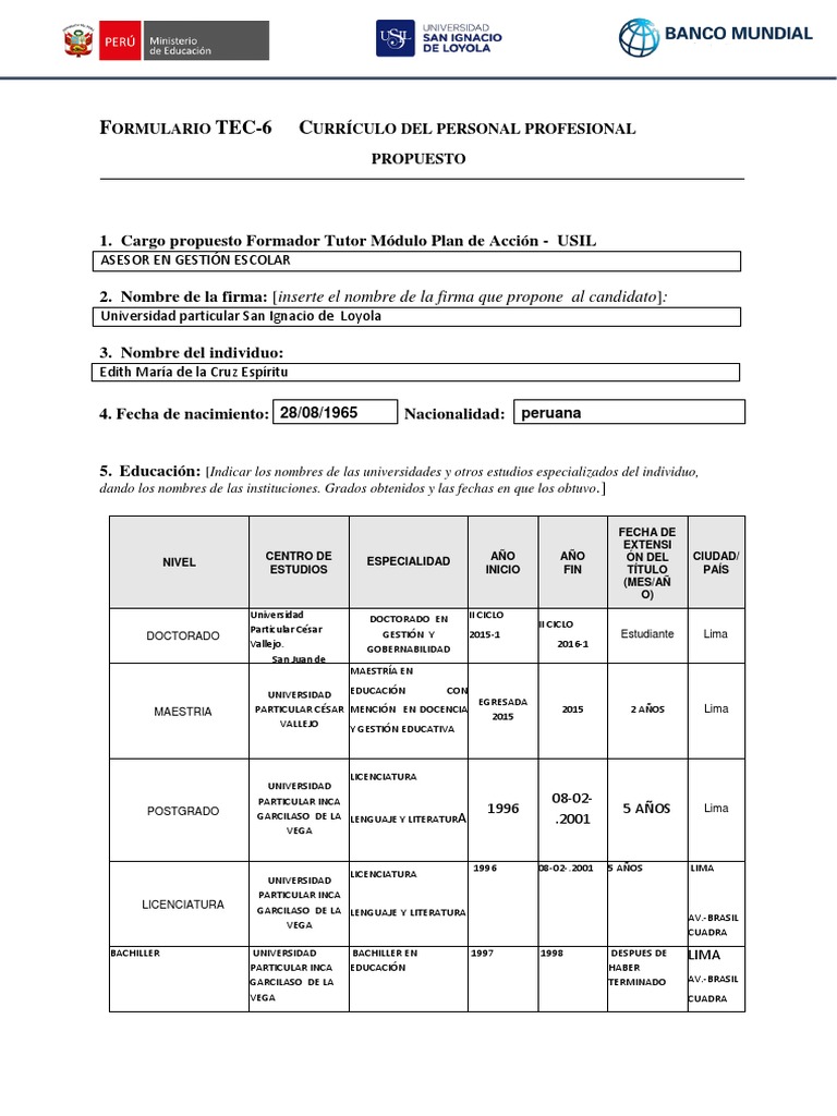 Formulario TEC-6: Currículo Profesional | PDF | Lima | Maestros