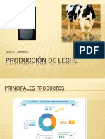 Produccción de Leche