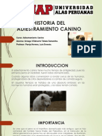 Historia Del Adiestramiento Canino