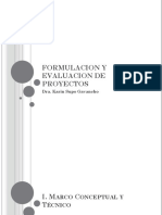 Formulacion y Evaluacion de Proyectos 1