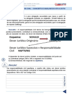 Resumo 1947690 Raquel Bueno 30837150 Direito Civil Juris 2015 Aula 112 Responsabilidades Civil Conceito e Analise Do Ato Ilicito