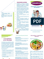 39144915-folleto-obesidad.pdf