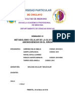 SEMINARIO-DE-BIOLOGIA-CELULAR-1.docx