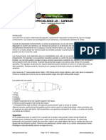 E Canoas PDF