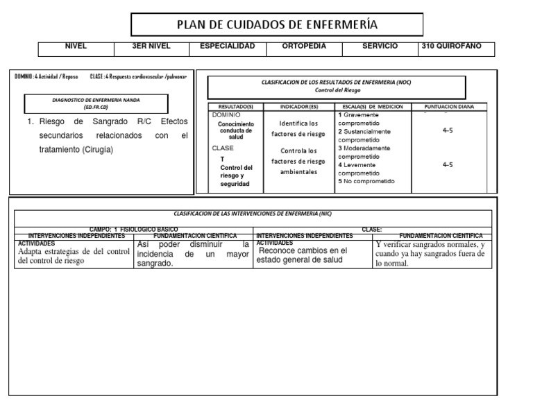 Plan de Cuidados | PDF | Cuidado de la salud | Enfermedades y trastornos