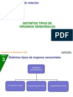 2CN 44 3P Orgsensoriales