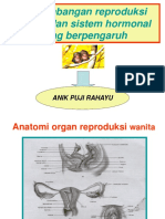 Fungsi Reproduksi Wanita