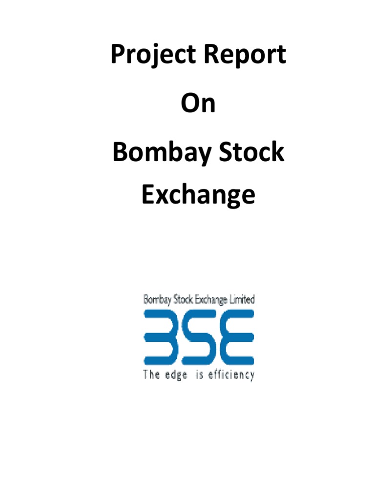 Project Report On Bse | PDF