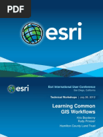 Learning Common GIS Workflows