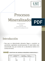 Procesos Mineralizadores