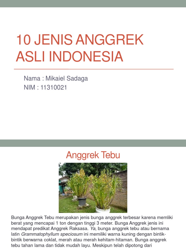 Paling Bagus 18 Gambar Bunga Anggrek Asli Gambar Bunga HD Paling Bagus 18 Gambar Bunga Anggrek Asli Gambar Bunga HD