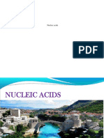 Nuclei Acids