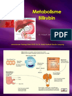 METAB BILIRUBIN, 2 Okt 2011