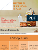PPT DNA non repetitif.pptx