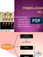 Pembelahan Sel