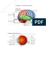 Soal Remedial Anatomi Dan Fisiologi