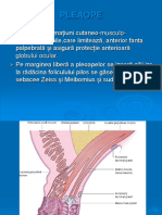 Curs 2 PLEOAPE SI AP - LACRIMAL