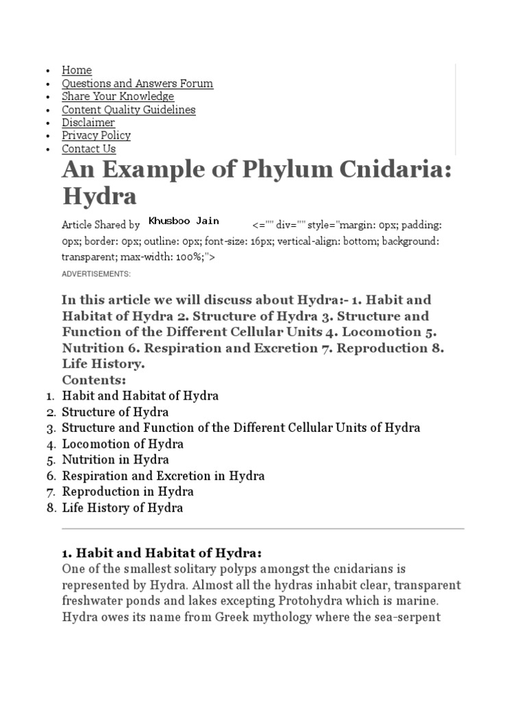 hydra 1 | Reproduction | Anatomy