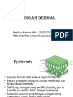 Jaringan_Dermal_Belum_Fix[1].pptx