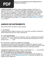 AGRAVO-DE-INSTUMENTO-MODELO.docx