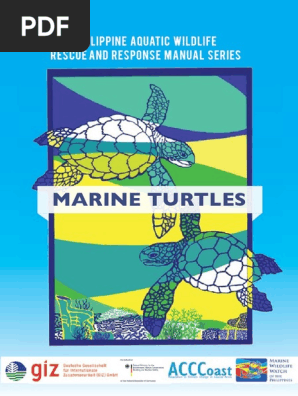 Rescue Response Manual -Marine Turtles