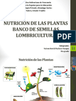 Nutrición de Las Plantas Yeison Pacheco