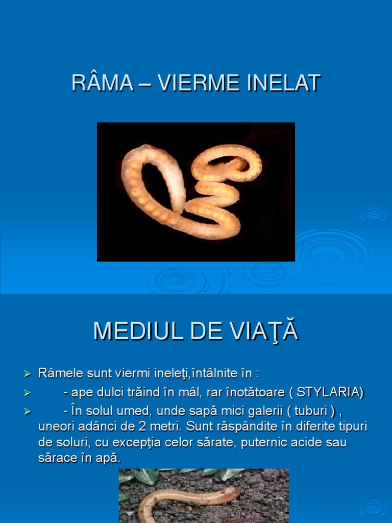 Viermi Inelati | PDF