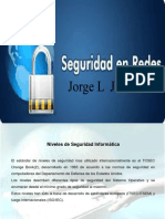 Nivele  de seguridad informatica