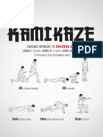 Kamikaze WRK.pdf