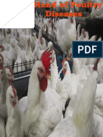 Poultry Diseases Handbook