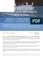 2017 Youth Voices Report