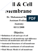 Cell+ +Cell+Membrane