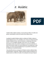 Elefant Asiàtic